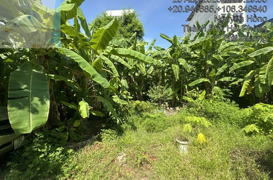 Thanh lý tài sản tại Lô LK 06.05 khu phía Tây cầu Phú Lương, phường Nhị Châu, TP. Hải Dương (nay là Lô Lk 06.05, khu Âu Việt, phường Hải Dương, thành phố Hải Phòng) - 18920674.1.1.1 - 4