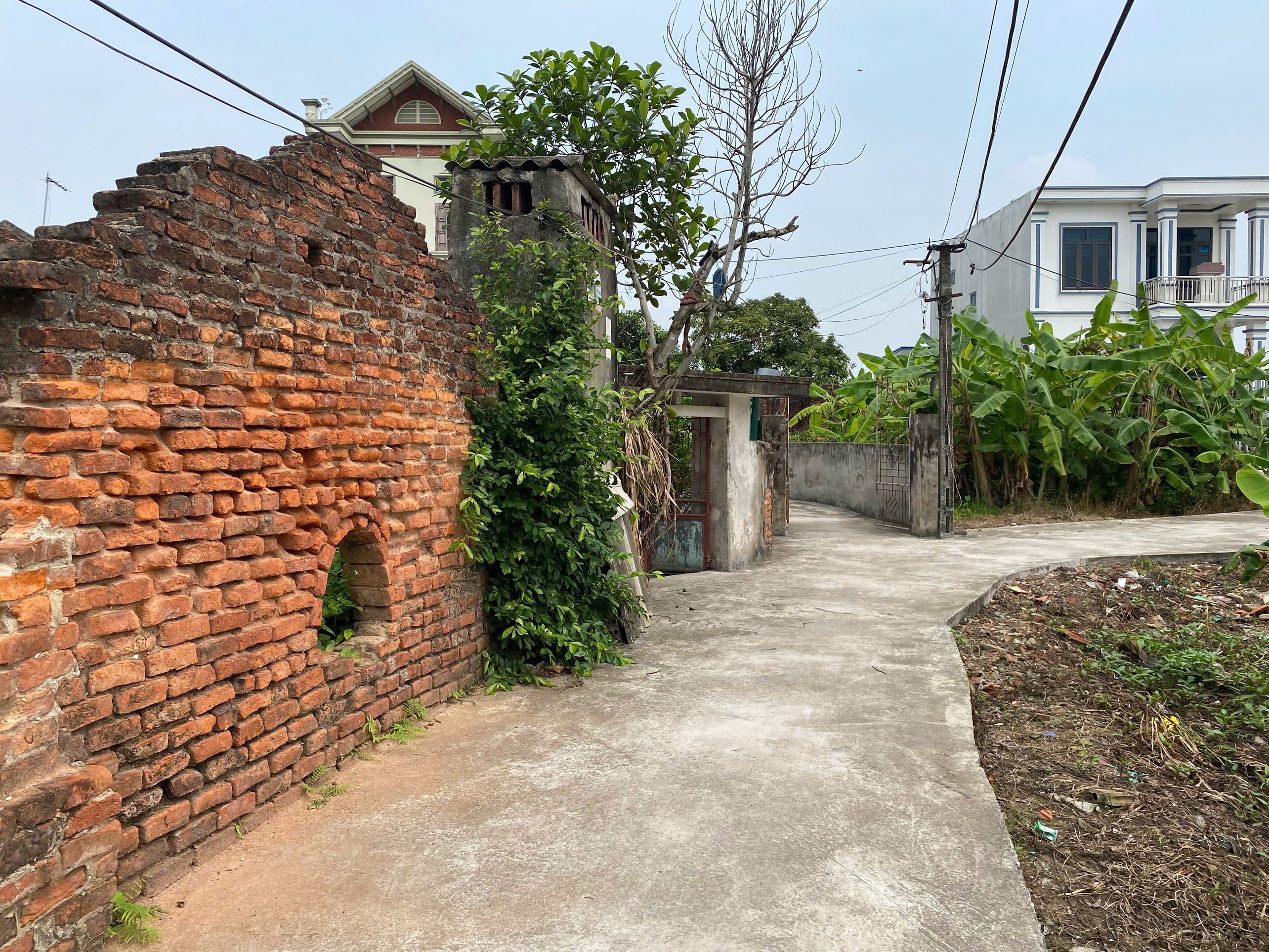 Thanh lý 189m2, Ái Quốc, Hải Dương (Hải Phòng mới) - 5