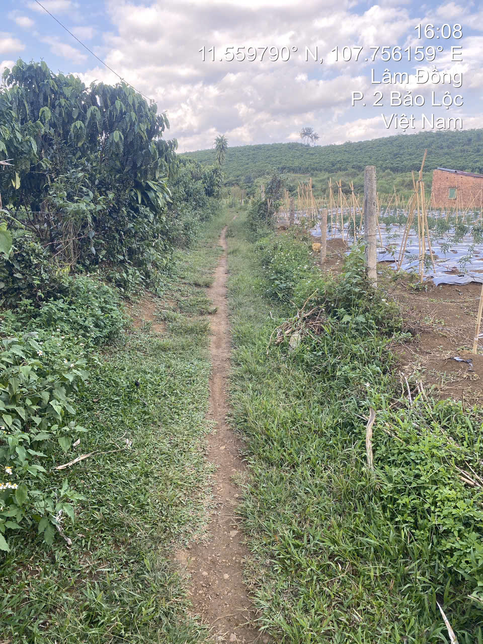 Ngân hàng xử lý cụm tài sản tại địa chỉ: Xã Lộc Tân, Huyện Bảo Lâm, Tỉnh Lâm Đồng (Nay là Phường 2 Bảo Lộc, Tỉnh Lâm Đồng)-10768942.1.1.1-10768942.1.1.2 - 6